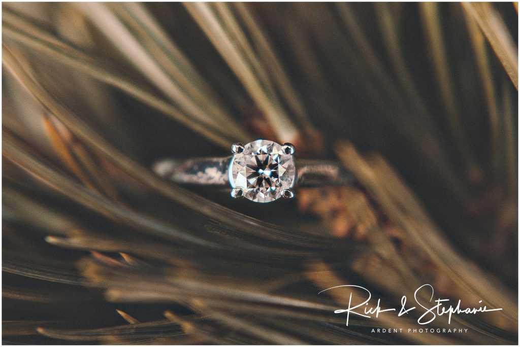 Beautiful diamond engagement ring in evergreen sprigs. Photographed by Wyoming wedding photographers Ardent Photography.