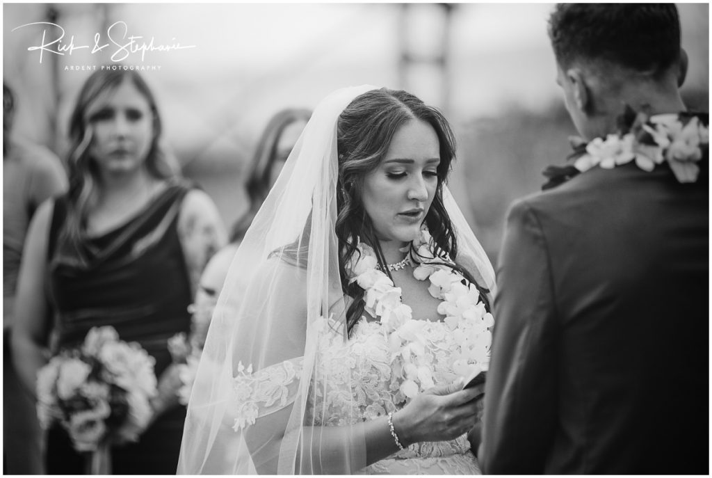 Black Fox on Welsh Wedding