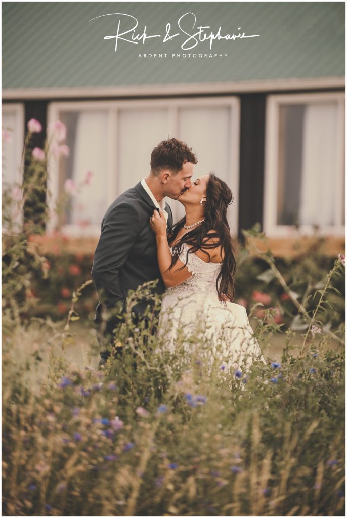 Black Fox on Welsh Wedding