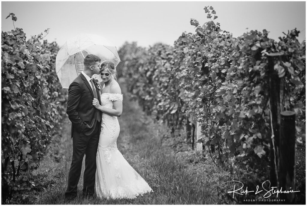 WEDDING PHOTOGRAPHERS IN LARAMIE WYOMING